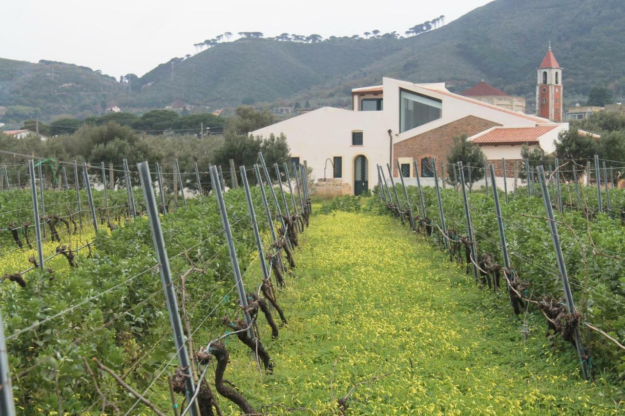 Tenuta Rasocolmo Месина Екстериор снимка